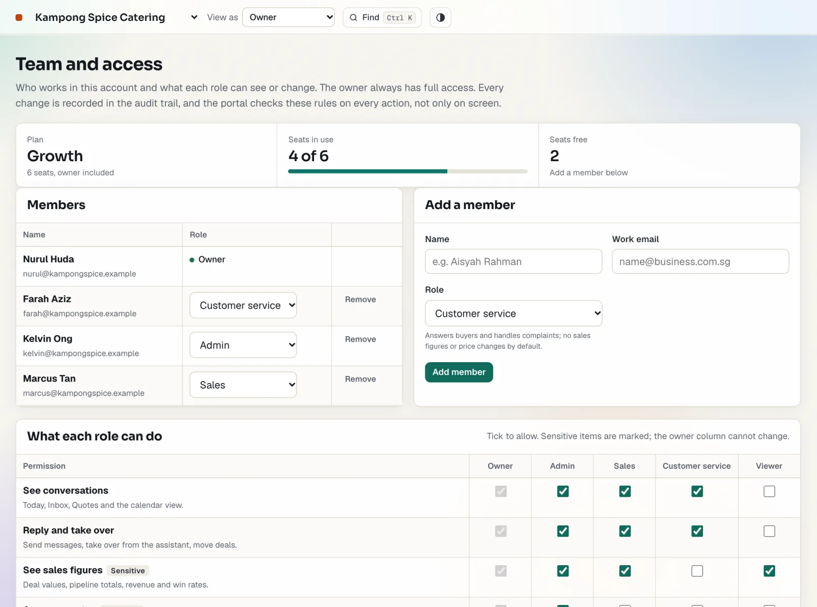 Team and access: members with their roles, and a grid of what each role can do